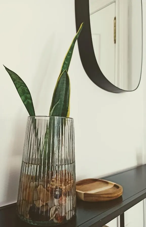 Bajo Con Jardin Privado Apartment Santander 0*,